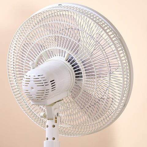 Homend Fanomen 9010H 55W Height &amp; Angle Adjustable Oscillating Pedestal Fan