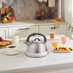 Karaca Kettlinox 2.5 Lt Basınçlı Su Isıtıcısı